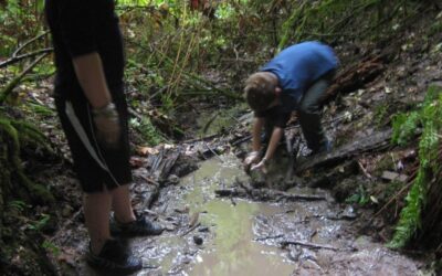 Why are the children so muddy?