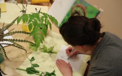 Guest Post: The Art of Inquiry