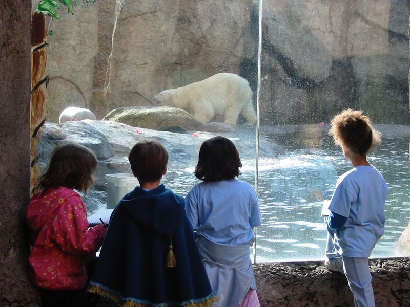 Zoo children.010