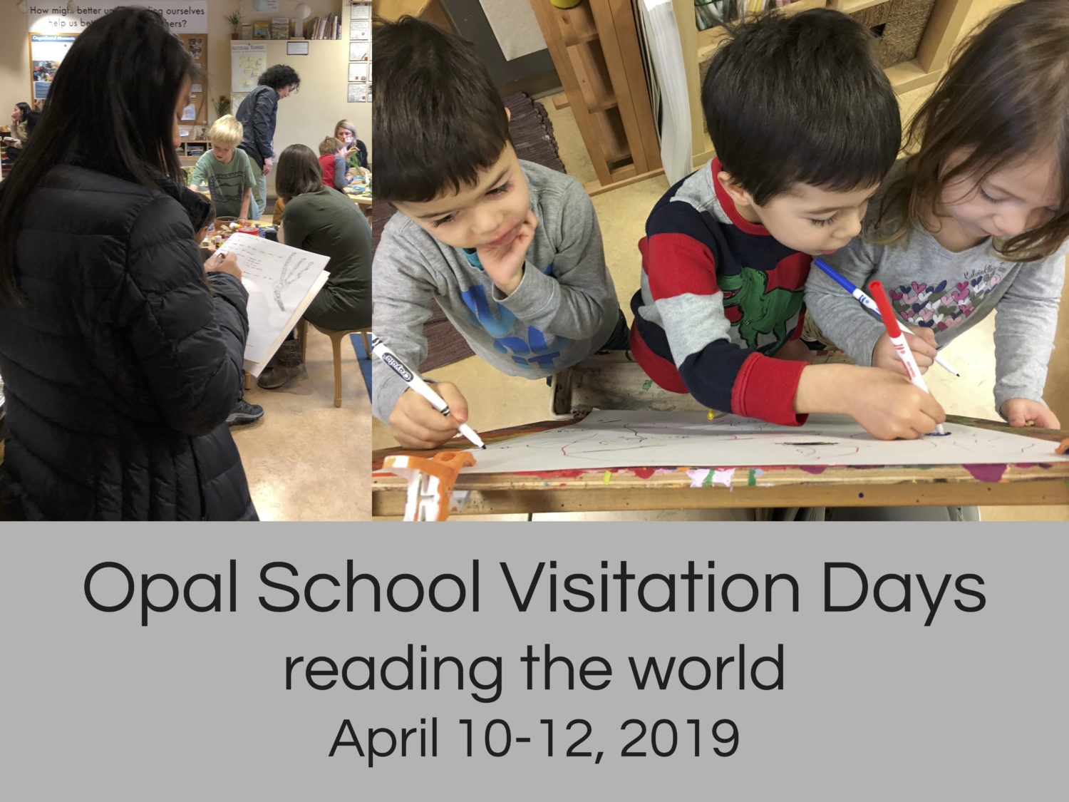 Opal School Visitation Days 2019: Reading the World