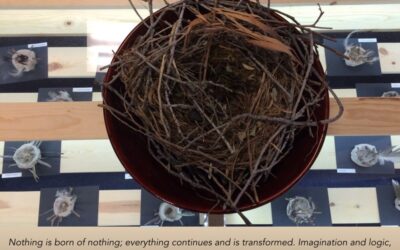 Building Nests