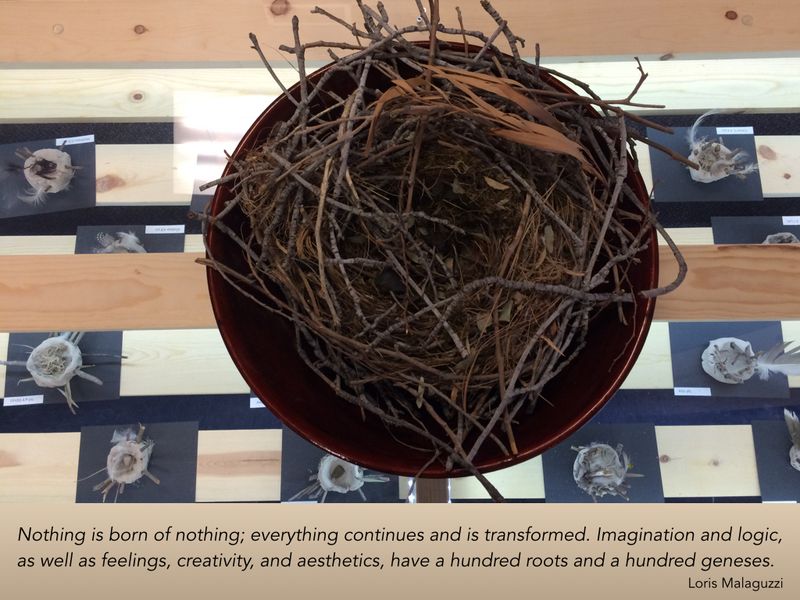 Building Nests