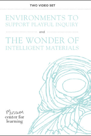 Environments to support Playful Inquiry